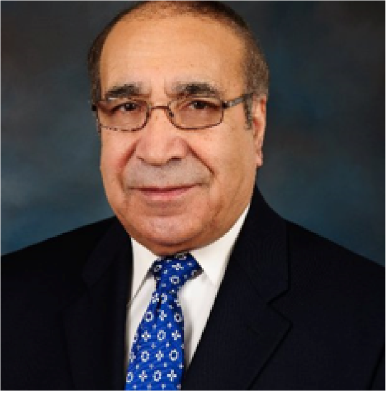 Professor Ali Ahmad Jalali